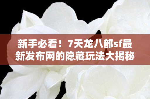 7天龙八部sf最新发布网的隐藏玩法大揭秘图片