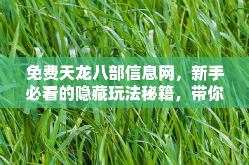 带你畅玩天龙江湖天龙八部私服图片