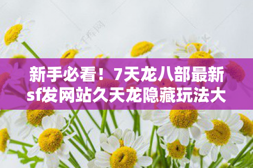7天龙八部最新sf发网站久天龙隐藏玩法大揭秘天龙私服图片