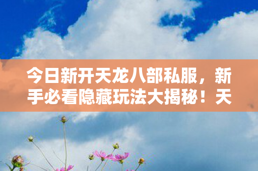 新手必看隐藏玩法大揭秘图片
