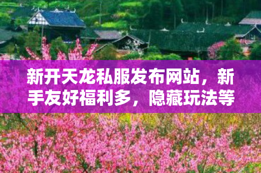 新开天龙私服发布网站图片