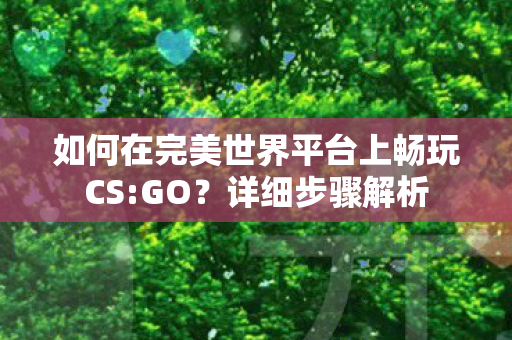 如何在完美世界平台上畅玩CS图片