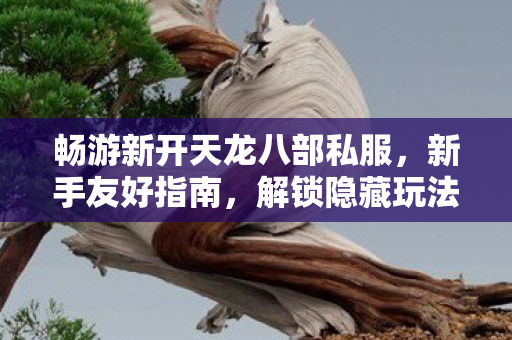畅游新开天龙八部私服图片