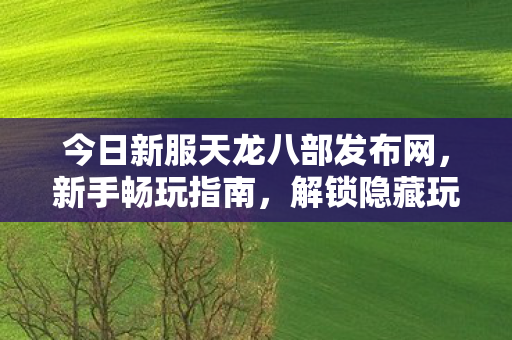 今日新服天龙八部发布网图片