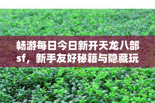 新手友好秘籍与隐藏玩法大揭秘天龙私服图片