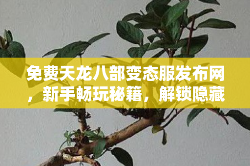 解锁隐藏玩法大揭秘天龙八部私服图片