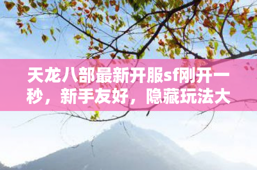 天龙八部最新开服sf刚开一秒图片