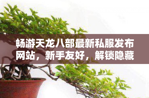 畅游天龙八部最新私服发布网站图片