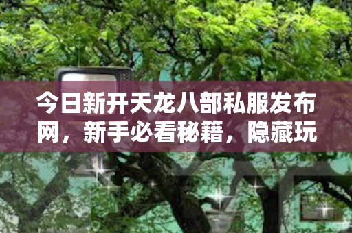 今日新开天龙八部私服发布网图片