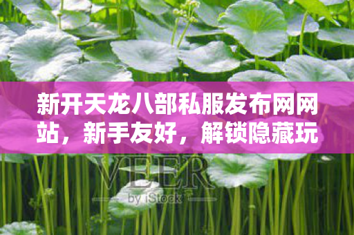 开启热血江湖之旅天龙八部私服图片