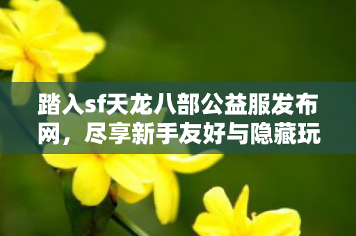 尽享新手友好与隐藏玩法的极致体验图片