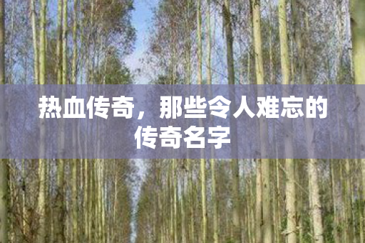那些令人难忘的传奇名字图片