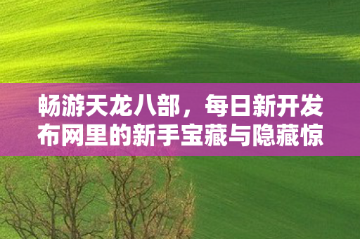 每日新开发布网里的新手宝藏与隐藏惊喜大揭秘天龙八部私服图片
