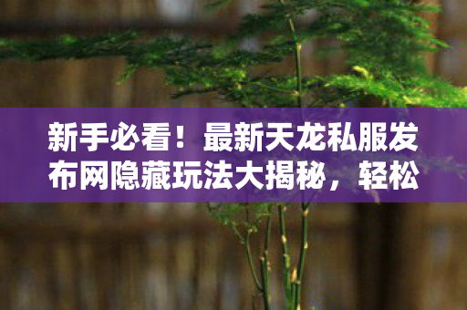 最新天龙私服发布网隐藏玩法大揭秘图片