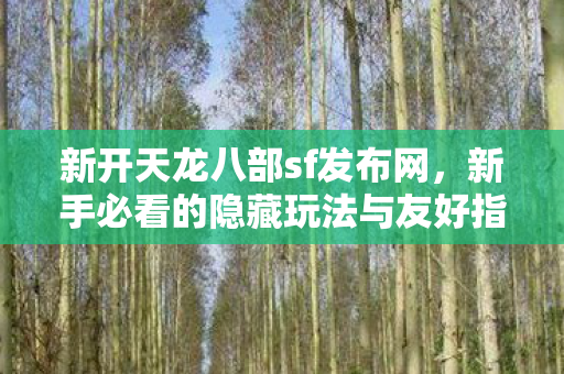 新手必看的隐藏玩法与友好指南天龙八部私服图片