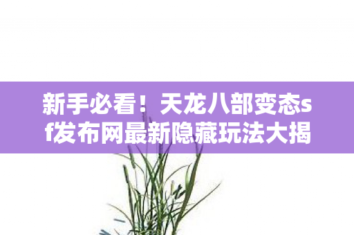 天龙八部变态sf发布网最新隐藏玩法大揭秘图片