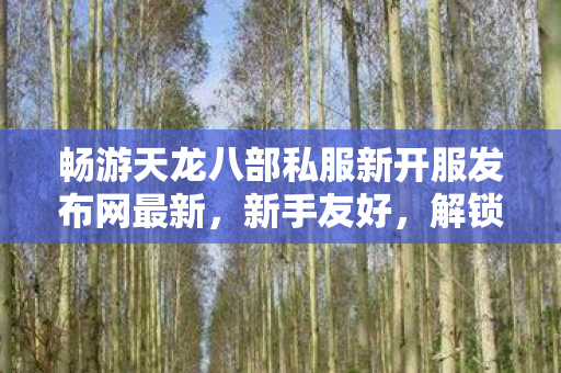 畅游天龙八部私服新开服发布网最新图片