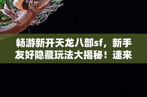 速来开服表探寻精彩天龙私服图片
