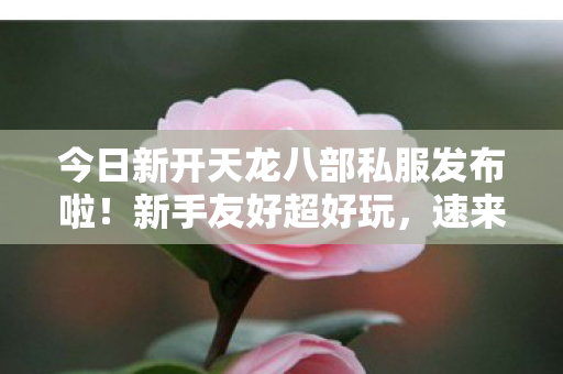 今日新开天龙八部私服发布啦图片