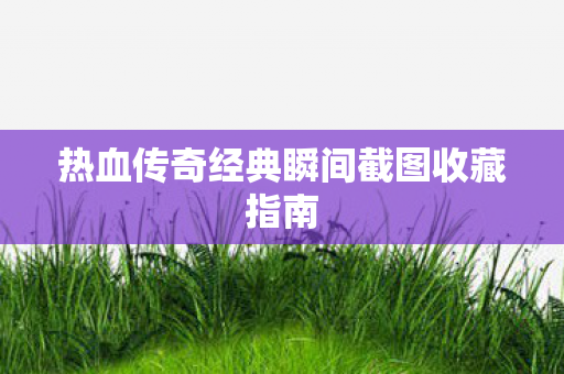热血传奇经典瞬间截图收藏指南图片