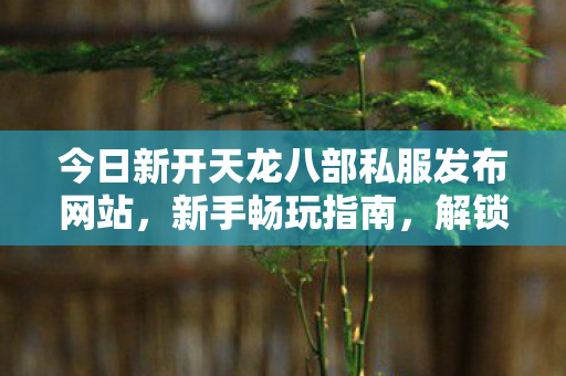 今日新开天龙八部私服发布网站图片