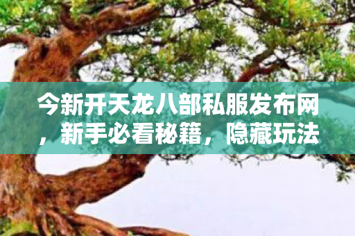 今新开天龙八部私服发布网图片
