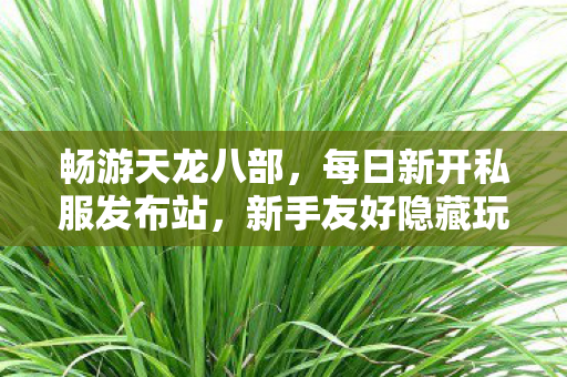 新手友好隐藏玩法大揭秘天龙八部私服图片