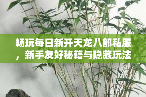 新手友好秘籍与隐藏玩法大揭秘天龙私服图片