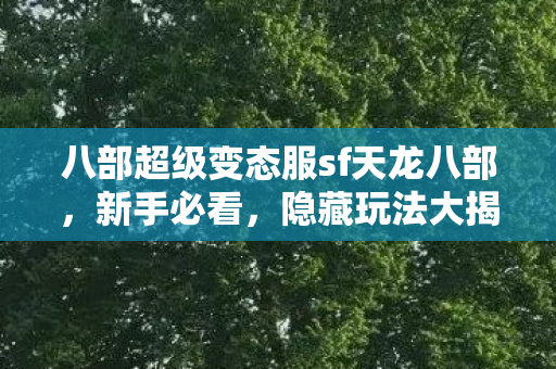 八部超级变态服sf天龙八部图片