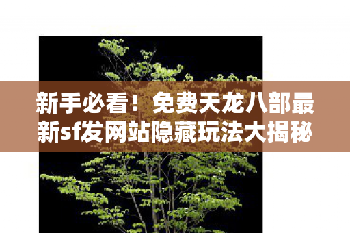 免费天龙八部最新sf发网站隐藏玩法大揭秘天龙八部私服图片