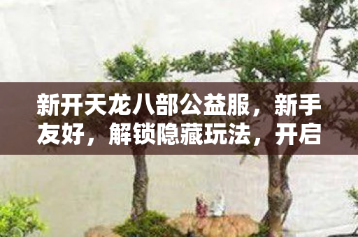新开天龙八部公益服图片