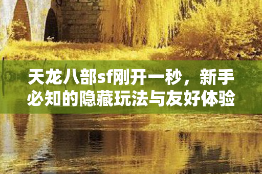 新手必知的隐藏玩法与友好体验秘籍天龙八部私服图片