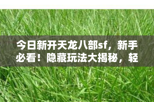 今日新开天龙八部sf图片
