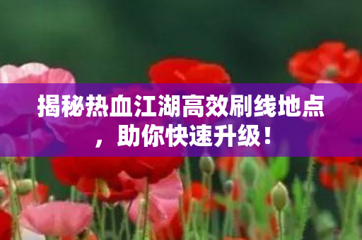 揭秘热血江湖高效刷线地点图片
