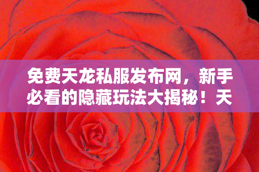 新手必看的隐藏玩法大揭秘图片