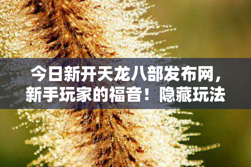 隐藏玩法大揭秘天龙八部私服图片