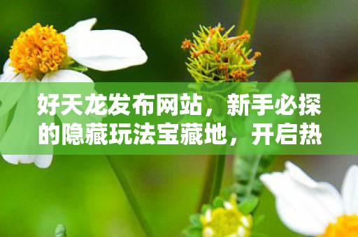 新手必探的隐藏玩法宝藏地图片