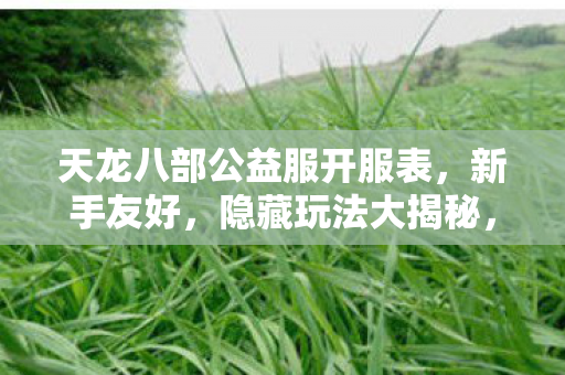 天龙八部公益服开服表图片