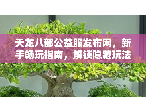 解锁隐藏玩法的神秘大门天龙私服图片