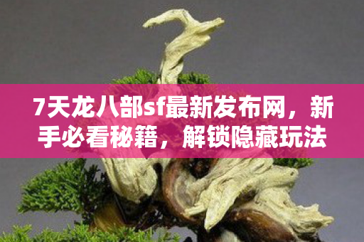 7天龙八部sf最新发布网图片