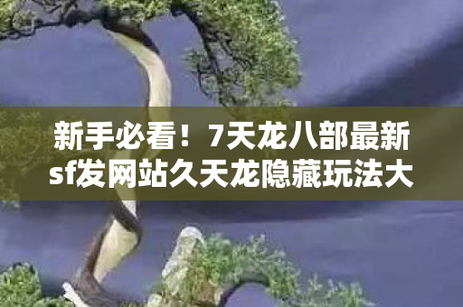 7天龙八部最新sf发网站久天龙隐藏玩法大揭秘图片