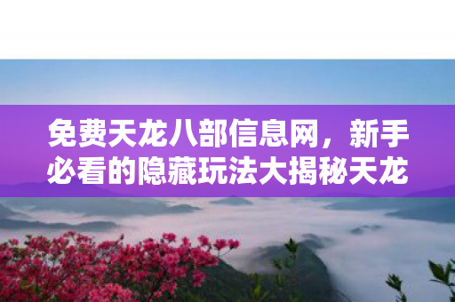新手必看的隐藏玩法大揭秘天龙八部私服图片