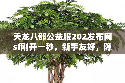 天龙八部公益服202发布网sf刚开一秒图片