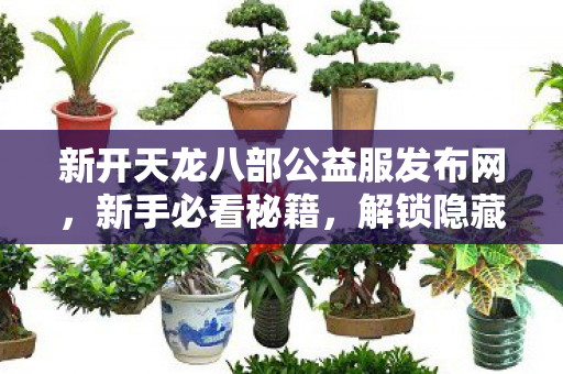 新开天龙八部公益服发布网图片