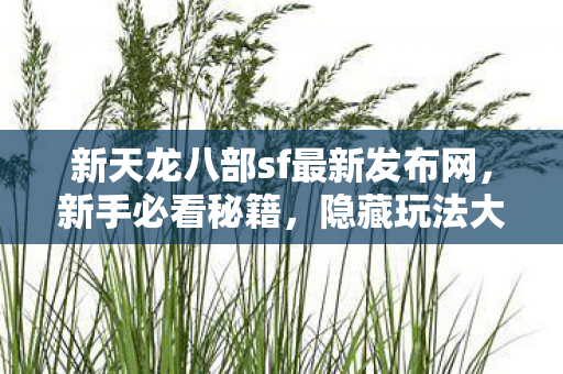 新天龙八部sf最新发布网图片