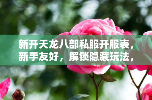 新开天龙八部私服开服表图片