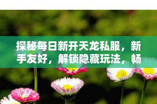 探秘每日新开天龙私服图片
