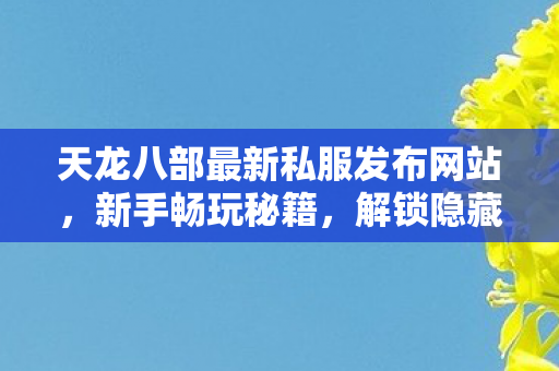 解锁隐藏玩法大揭秘天龙八部私服图片