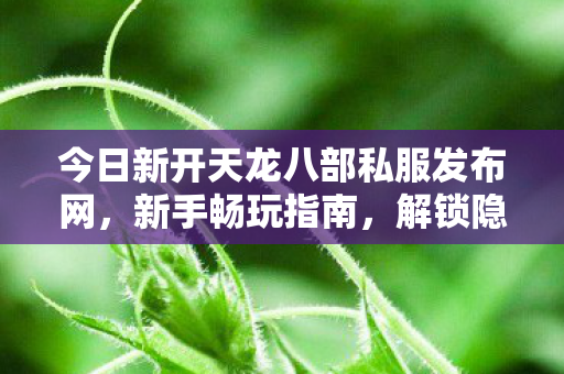 今日新开天龙八部私服发布网图片