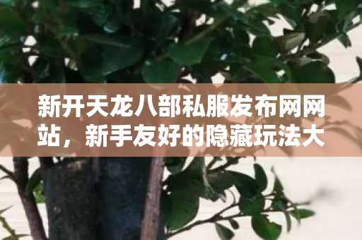 新开天龙八部私服发布网网站图片